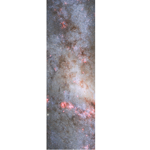 Fruity patterns grip tape 33''x 9'' - Image 12